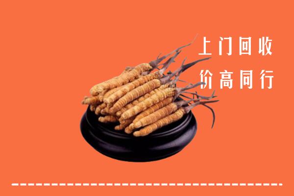 高价求购：毕节纳雍县回收散虫草