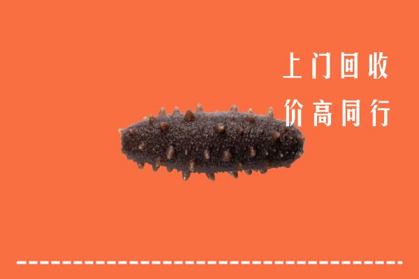 高价求购：毕节纳雍县回收海参
