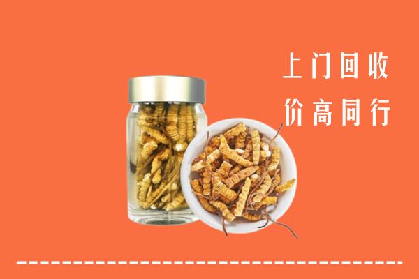 毕节纳雍县回收冬虫夏草