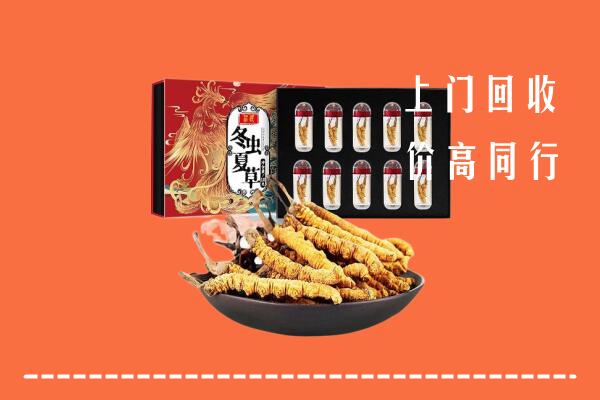 毕节纳雍县回收虫草